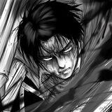 Levi
