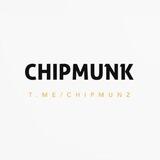 ChipMunk Stream