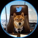 CEO DOGE TWITTER | 总督总裁