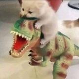 rawr