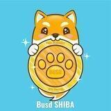 Busd Shiba