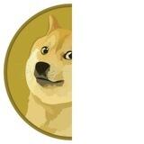 Half Doge | Doge0.5 Community