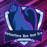 CAT CALLERS BSC|CRO|ERC