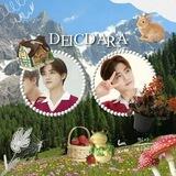 DEICDA𝑅Λ ; OPEN