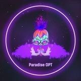 Chat Paradise OPT