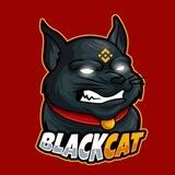 BlackCat BSC