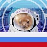 Кунцево М125