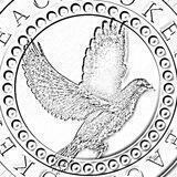 Peace Token Official
