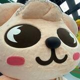 ꉂ ˖ ࣪우리 집