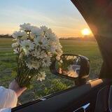 ﮼فَاطِمَةُ،سَعْدْ(الأورانوس).