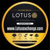 LOTUSEXCHANGE FAMILY