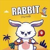 Rabbit IsLand | Channel