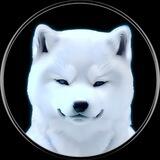 $PACHA INU