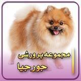 🐶فروشگاه سگ اپارتمانی🐶