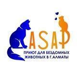 ASAP Almaty
