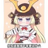 皮套人之家