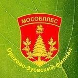 Орехово-Зуевское лесничество