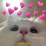 bf