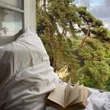 ميم ¦ إلىٰ موطِن يُدعى الجنة 🤍.