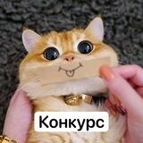 Фауна Конкурс 📸