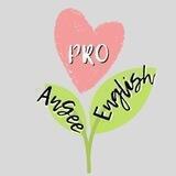 AnGee.PRO.English