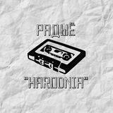 Радыё "Harodnia"