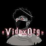 «VidexOrg»