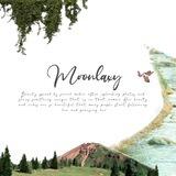 [ MXXCVI-Elegance] 🝳.. moonlaxy