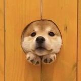 Hi!