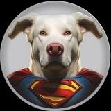 Krypto Portal