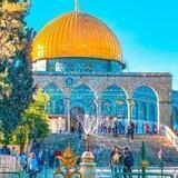 دعم النسيم المحافظ....🛡️