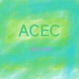 ACEC云加速