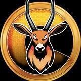 chiruinuofficial