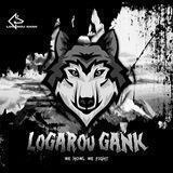 citpos lgr