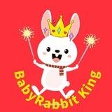 babyRabbitKing