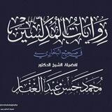 رِوَايَةُ الْمُدَلِّسِينَ