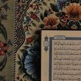 دعم أنِيس🌿.