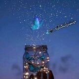 <پــەپــولــەکـــان>🦋⃟ 🖤⃝