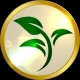 $XSEED SOCIETY 🌱 - The first RADIX profit return coin 🌱