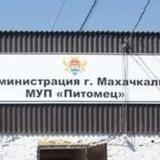 МУП Питомец