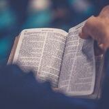 Estudos Devocionais Bíblico Oficial ❤️✝