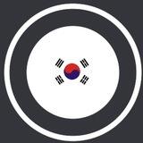 Ordinals Korea Chat