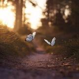 لها مُدَبِّر 🍃