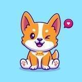 Doge Son 中文社区🇨🇳