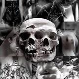 ☠𝐒𝐀𝐓𝐀𝐍𝐒𝐒𝐊𝐄𝐋𝐄𝐓𝐎𝐍☠