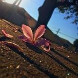 طِيبْ الأَثَـــرْ💜🌸..)