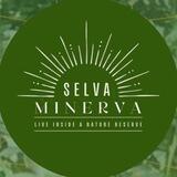 Selva Minerva .com
