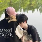 Лакорны Таиланд/Корея♡
