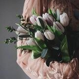 🌷لاله گرافی🌷