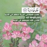 قُطوفُـها دانِيَـة